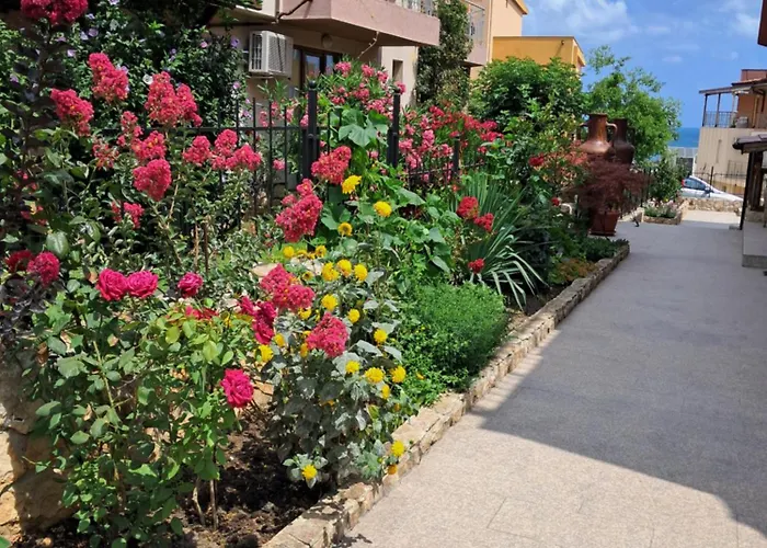 Gasthuis Neli Sea 3*