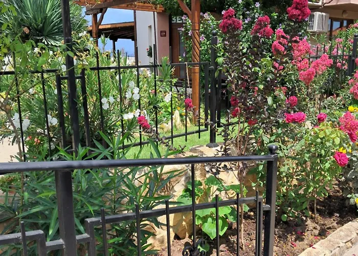 Gasthuis Neli Sea Sozopol