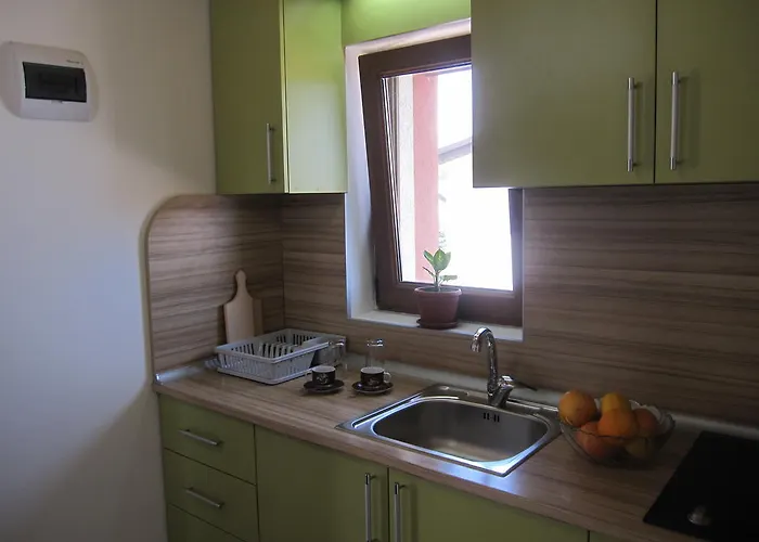 Guest house Neli Sea 3*